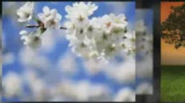 Lazy Eye Exercises - Eye Patch Activities For Amblyopia