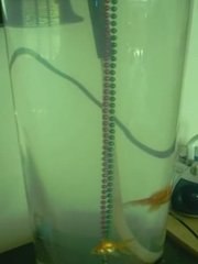 on a faim IV... arrete de filmer !