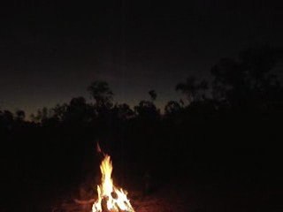 23 08 2009 -Y a des singes en Australie  !