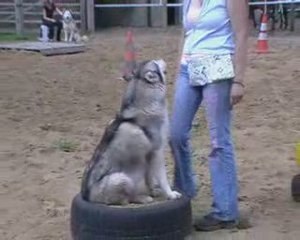 valley of angels ! promotie video