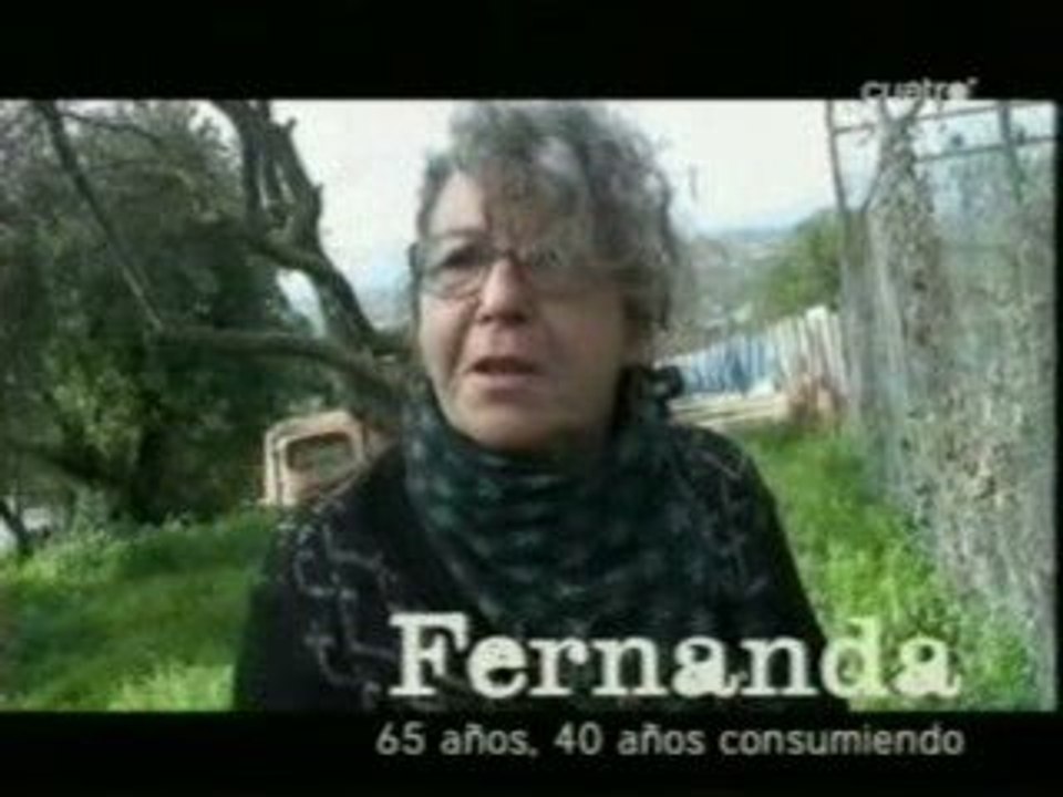 Cannabis: Consumo cronico (Fernanda)