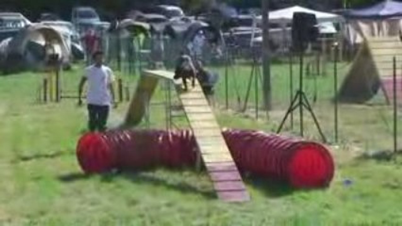 mathieu st mitre 2009 2ème degré