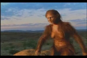 Homo habilis