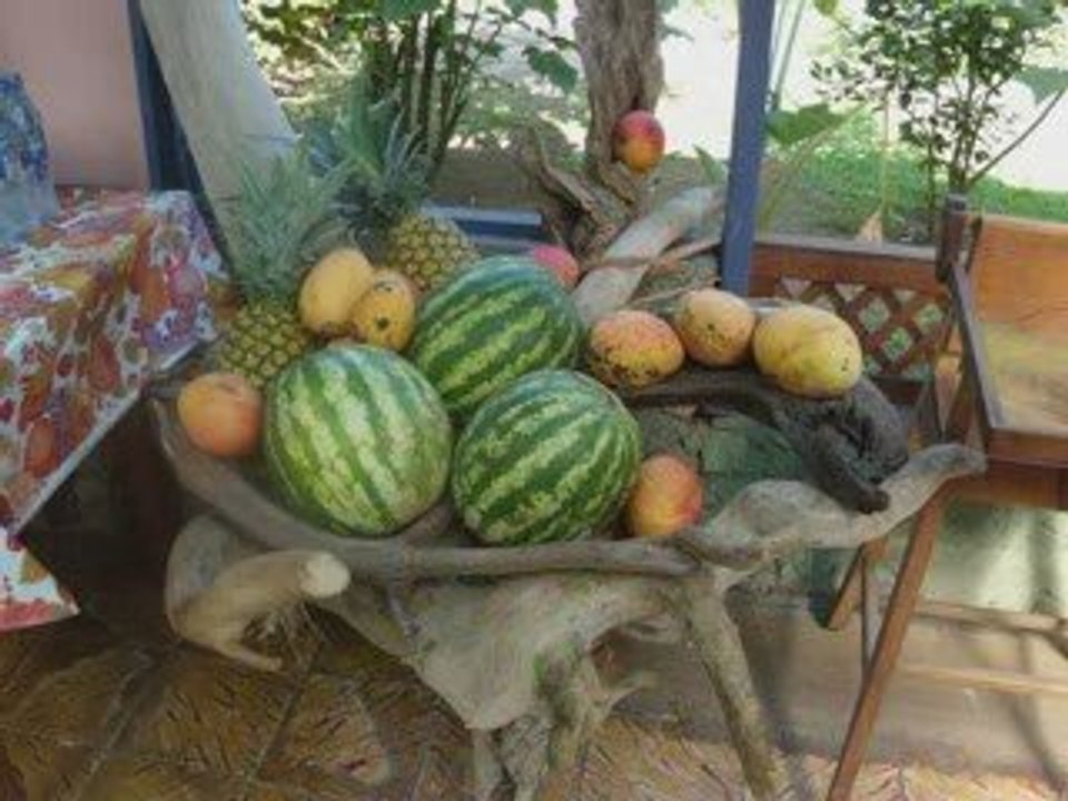 Cahuita 5 et 6 septembre 2009