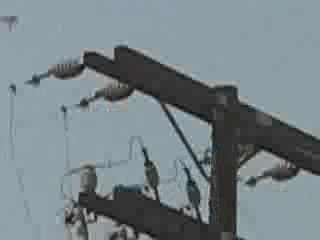 UFO Sighting in Nevada September 3rd 2009 Video