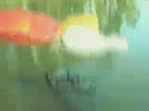 Daniel Danis - Vêtements - Création