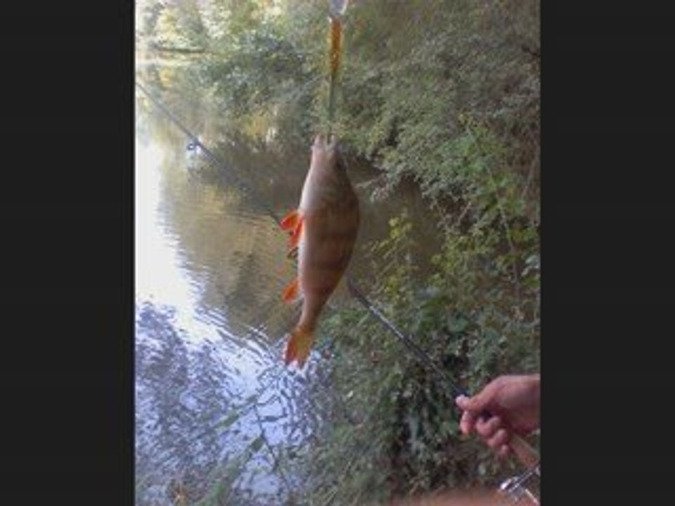 Peche aux Carnassiers