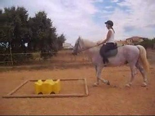 Parcours Magalie/falco 4 septembre 2009