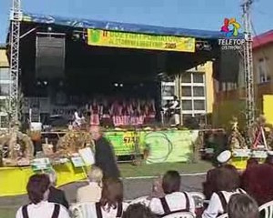 II Dożynki Powiatowe w Starym Lubotyniu 2009