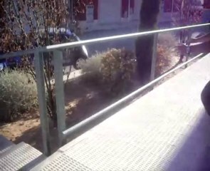 entrenamiento NEXT LEVEL PK