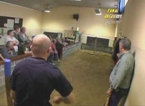 Billon - Club de Brebières