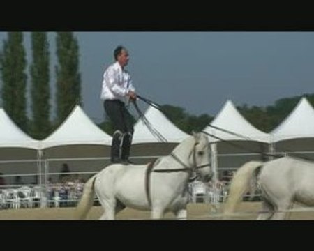 Christophe Chaussy et les Voltigeurs de Provence partie 1.2