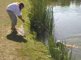 sortie d'eau Daïka 2009_09-08 (3)