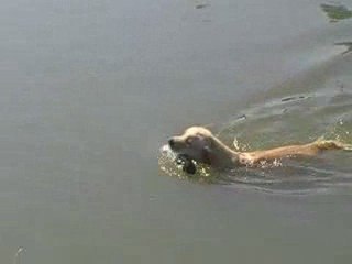 sortie d'eau Daïka 2009_09-08 (2)