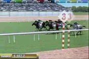 Virtual Horse Racing 3D for iPhone & iPod touch