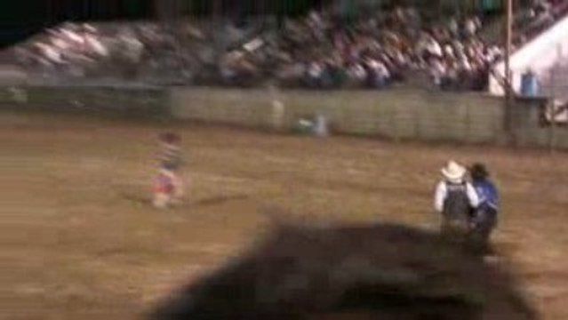 Rodéo à Jackson Hole - épreuve du boeuf