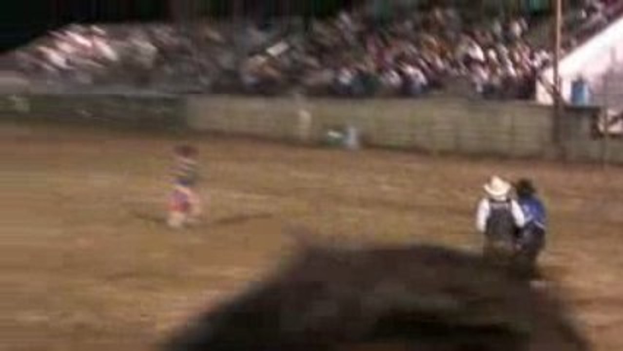 Rodéo à Jackson Hole - épreuve du boeuf