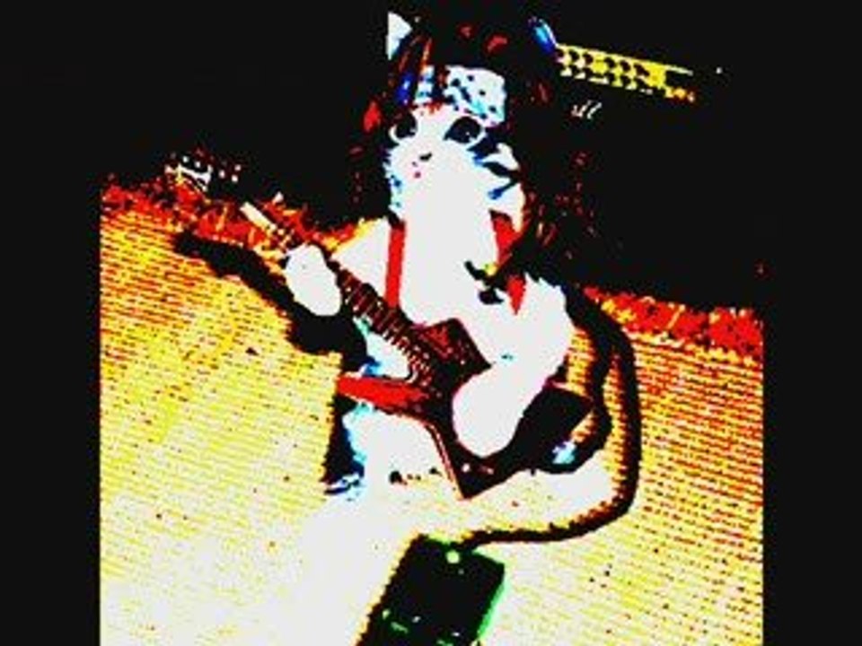 cats -  killswich engage - this fire burns