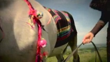 Collection Automne Hiver 2009/10