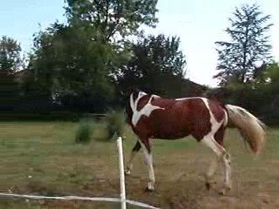 STORM s'eclate 01 aout 2009