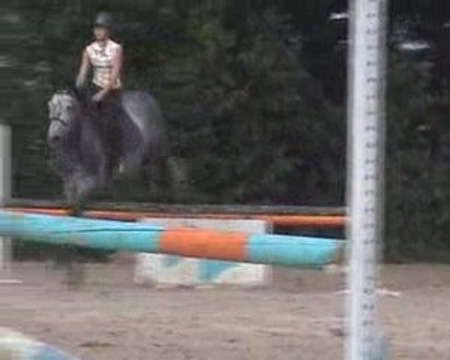 Chute Laurine