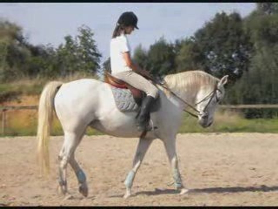Joe en saut ! :D