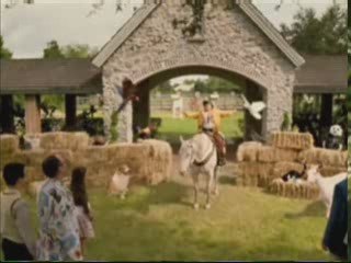 Watch Ace Ventura 3 Online HD 2009 Free, part 3/3