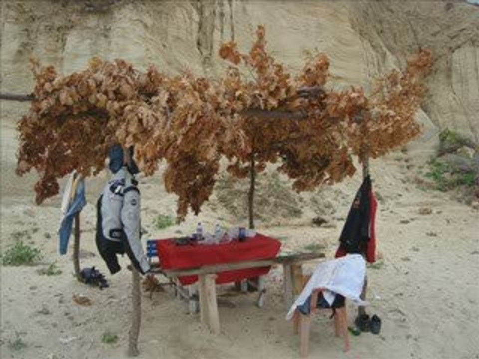 TÜRKİYE/ORMANLI/ÇATALCA (PLATON)