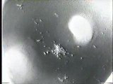 Zooming UFOs below spacewalk