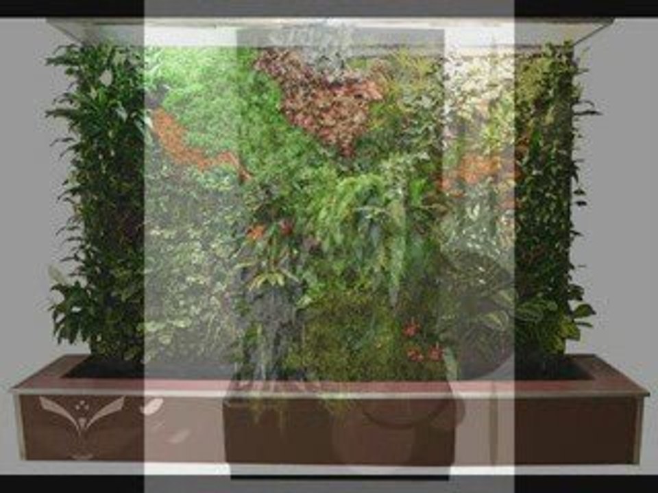 Mur Végétal, Jardin Vertical, Mur de Plantes, Toulouse 31