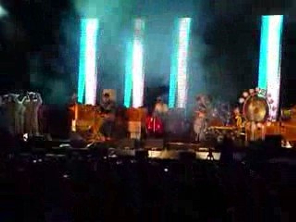 Flaming Lips - the W.A.N.D