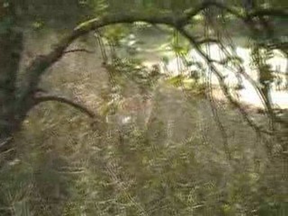 changement de terrain 5