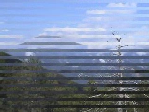 OS DE CIVIS 2009 - Col d'Ordino