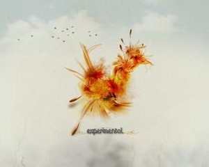 2hd presentacion 2008 bis