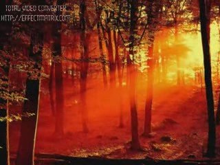 AYŞEGÜL PINAR-ELLİK