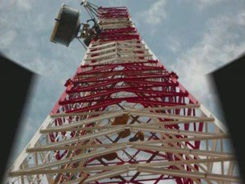 congo,brazzaville,societe jal-international