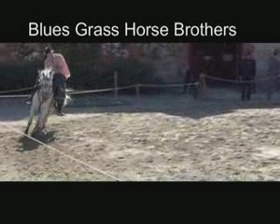 Blues Grass Horse Brothers - Bruno Boisliveau