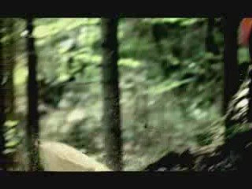 Stihl Brand Video