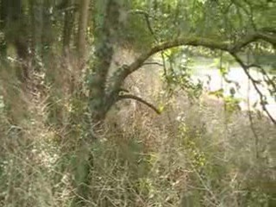 changement de terrain daïka 2