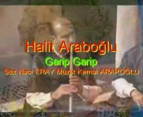 Halit araboğlu -garip garip