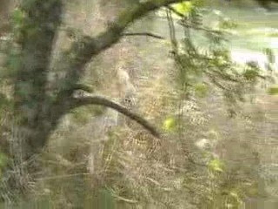 changement de terrain daïka 4