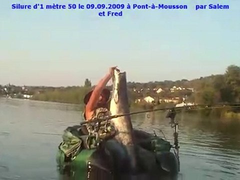 Silure d'1m50 le 09.09.09 à Pont-à-Mousson