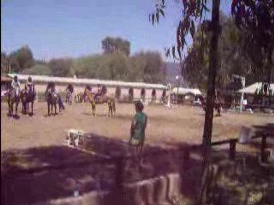 Niko & moi, à l'obstacle