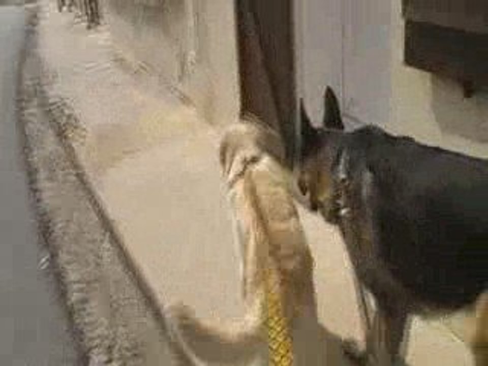 MOV01F