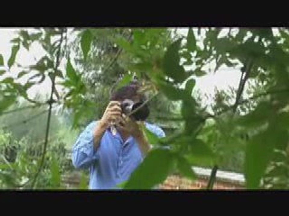 Ascension- Fair Trade, organic clothing and ethical fashion