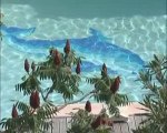 Provence: villa piscine en location