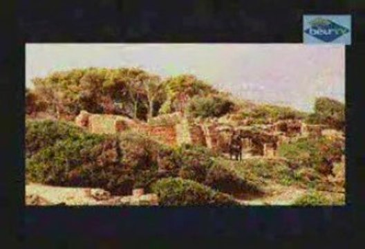 REDA TALIANI-nostalgia el djazair