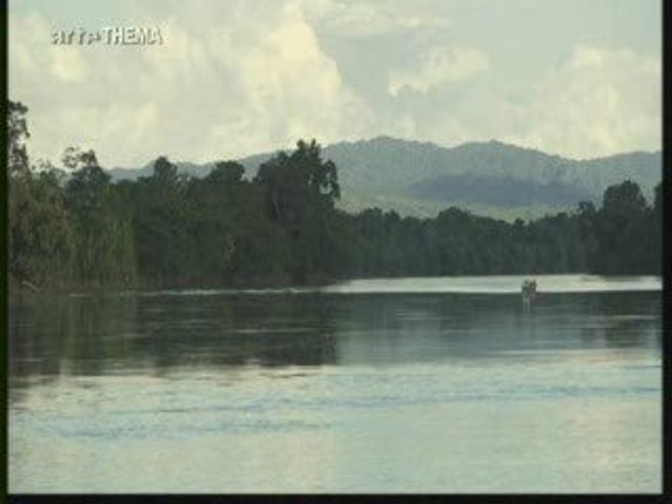 les incas et la coca 2.3