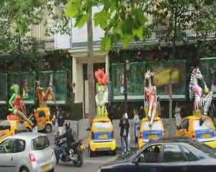 Orangina Palissade