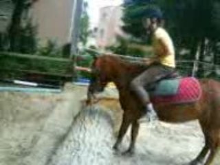 Parce que j'aime ton reffu boloss